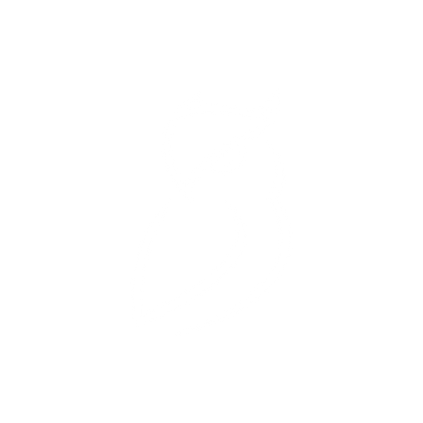 Smeedia Shop logo